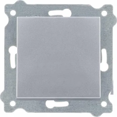 Image de Interrupteur simple Interrupteur inverseur Argent 209/10E EXEN
