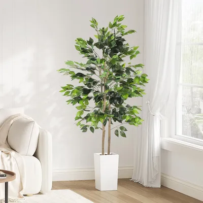 Zdjęcie produktu dla Sztuczna roślina Ficus Benjamina, wysokość 170 cm, w białej doniczce
