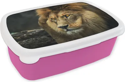 Produktbild von KitchenYeah® Lunchbox Brotzeit Brotdose 17x11 cm Löwe - Porträt - Wild Kinder Brotzeitdose - Lunchpaket - Brotkasten  - Sandwich Box