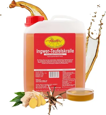 Produktbild von Scheidler horse-direkt Ingwer-Teufelskralle Liquid, für Pferde und Ponys Naturprodukt im 2,5 Liter Kanister