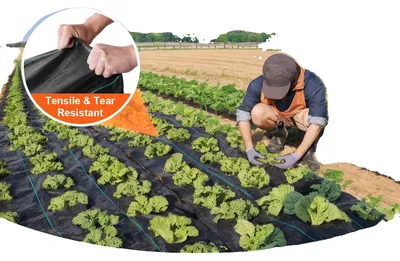 Obrázok produktu pre VEVOR 170g/m² záhradné rúno proti burine 0,9x76,2m fólia proti burine z PP Vodopriepustná Odolná proti roztrhnutiu Odolná proti korózii Rúno proti burine 850/950N pevnosť v ťahu Pôda na ochranu proti burine