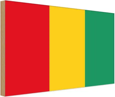 Produktbild von vianmo Holzschild 12x18 cm Guineas Guinea Flagge Fahne Wappen