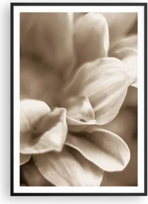 Produktbild von Gerahmtes Poster - Schwarzer Rahmen - Blumen Boho ohne - 70x100 cm - Wand Bild - Wanddeko - Wandbilder - Kunstposter - Wandposter - Bilderrahmen - Bilder - Kunstdruck - P2BPA70x100-4767