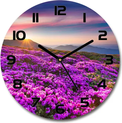 Produktbild von Wanduhr aus Glas 30fi Glasbild Glasuhr Gehärtetes Glas - schwarze-zeiger - Flowers in the mountains