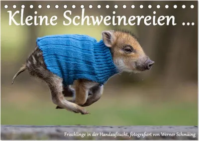 Produktbild von Kleine Schweinereien (Tischkalender 2025 DIN A5 quer), CALVENDO Monatskalender