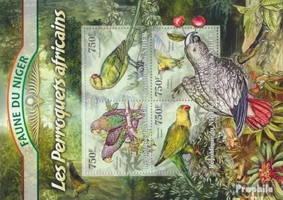 Produktbild von Briefmarken Niger 2013 Mi 2071-2074 Kleinbogen (kompl. Ausg.) postfrisch Afrikanische Papageien (Poicephalus robustus)