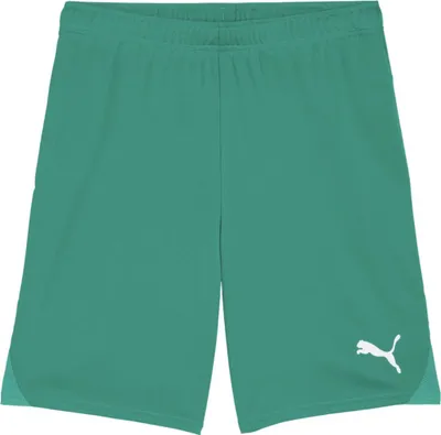 Produktbild von Puma Teamgoal Shorts Herren - Grün