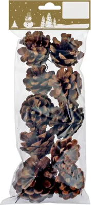 Produktbild von Deko Zapfen natur 3-5 cm an grünem Draht, 10 Stück