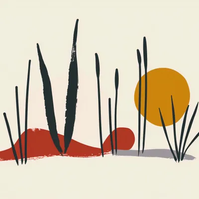 Produktbild von Plakat 50x50cm Schilf bei Sonnenuntergang