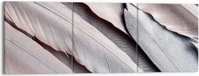 Produktbild von Bild auf Leinwand - Leinwandbild - 3 Teile - Federn Flügel Feder - 150x50cm - Wand Bild - Wanddeko - Wandbilder - Leinwanddruck - Bilder - Wanddekoration - Leinwand bilder - Wandbild - CA150x50-5114