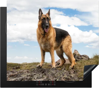 Produktbild von KitchenYeah© Herdabdeckplatte Deutscher Schäferhund auf einem Berg , 59x51cm, Küche Deko, Glaskeramikkochfeld Herdabdeckung, Abdeckplatte fùr Kochfeld