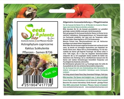 Produktbild von 10x Astrophytum capricorne Kaktus Garten Pflanzen - Samen B736