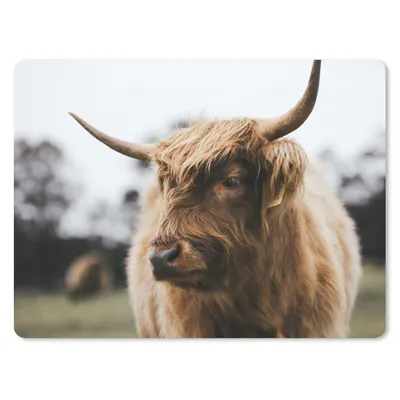 Produktbild von MuchoWow® Mauspad Mousepad Schottischer Highlander - Tiere - Hörner 23x19 cm - Mousepads - Maus Mat - Pad - Mausunterlage - Schreibtischunterlage - Mauspad