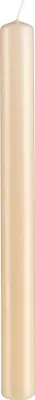 Produktbild von Stabkerzen Champagner 250 x 30 mm, 8 Stück