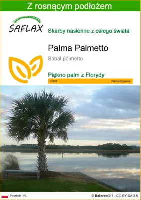 Zdjęcie produktu dla SAFLAX - Palma Palmetto - 8 Nasiona - Z podłożem uprawowym wolnym od zarazków - Sabal palmetto