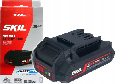 A SKIL 20V MAX battery pack and its packaging are shown against a white background.