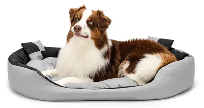 Immagine prodotto di lionto, cuccia per cani 4-in-1 - Impermeabile, nero/grigio, 110x80 cm