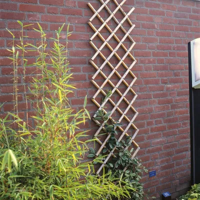Produktbild von Nature Garten-Rankgitter 100x200 cm Bambus 6040722