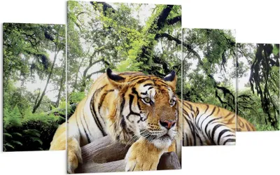 Produktbild von Bild auf Leinwand - Leinwandbild - 4 Teile - Tiger Dschungel Ruhe - 160x90cm - Wand Bild - Wanddeko - Wandbilder - Leinwanddruck - Bilder - Wanddekoration - Leinwand bilder - Wandbild - DL160x90-4166