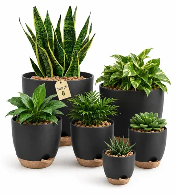 Produktbild von Omgoods – Set aus 5 selbstbewässernden Blumentöpfen mit Untersetzern