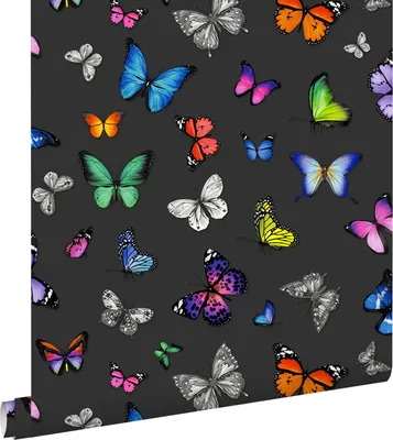 Produktbild von ESTAhome Tapete Schmetterlinge Multicolor auf Schwarz 53 cm x 10.05 m