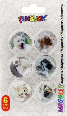 Produktbild von Magnete Für Glastafeln 30/6 Hund 4787