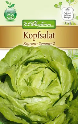 Produktbild von Kopfsalat Kagraner Sommer 2 | Kopfsalatsamen von N.L. Chrestensen