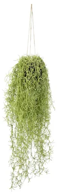 Productafbeelding van Kunstmatig mos in hanglamp, op een groene plantenbal. Kunstplant