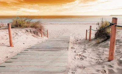 Produktbild von Fototapete Vlies 2020 XXL Strandsteg II 3-tlg. 312 x 219 cm