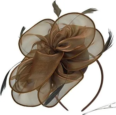 Produktbild von DRESHOW Damen Fascinators Hut Cocktail Party Tee Kopfbedeckung Blume Mesh Organza Bänder Federn auf Einem Stirnband