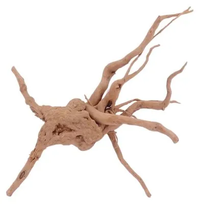 Produktbild von M Moorkienwurzel Nr.4413 Holz Deko Aquascaping