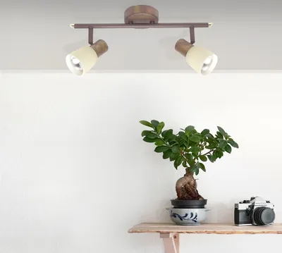 A ceiling spotlight with two adjustable lamps is mounted on a ceiling above a shelf with a bonsai tree and a camera.