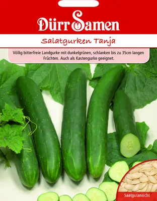 Produktbild von Dürr-Samen - Salatgurken Tanja - Saatgut - 1843