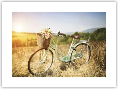 Produktbild von Poster - Poster ohne Rahmen - Fahrrad Wiese Blumen - 40x30 cm - Wand Bild - Wanddeko - Wandbilder - Kunstposter - Wandposter - Bilder - Kunstdruck - Wanddekoration - Wandbild - P2XAA40x30-4206