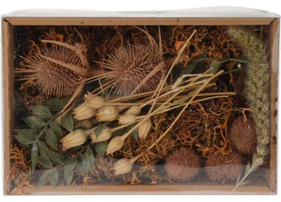 Immagine prodotto di Miscela di fiori secchi per decorazioni domestiche in scatola naturale