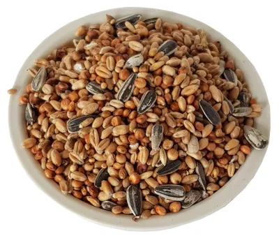 Productafbeelding van Aime vogelvoer, verschillende mengsels van zaden en voedingsstoffen, zak van 3 kg, geschikt voor tuinvogels en wild