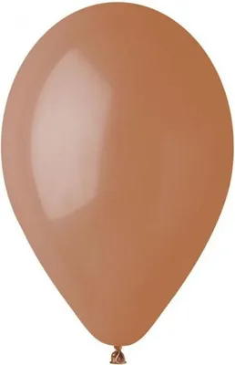 Immagine prodotto di G120 Palloncini pastello 13 - caffè 76/ 25 pz.