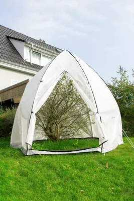 A white tent-like structure is set up in a grassy yard in front of a house, protecting a small tree.