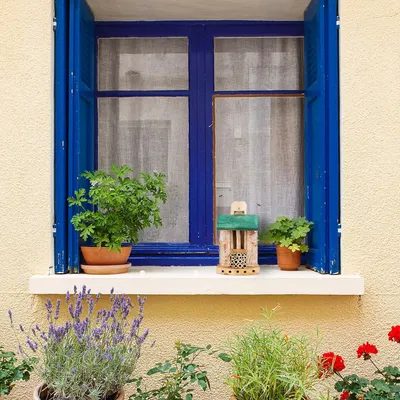 Image de Nichoir pour abeilles & guêpes sauvages - Hôtel pour insectes pour jardin et balcon - Dimensions 225x16x85 cm - Vert naturel
