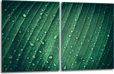 Produktbild von Herdabdeckplatten 2x40x52 Glaskeramikfeld 2-Teilig Glas Spritzschutz Tropfen