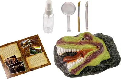 Produktbild von LEAN Toys 14060 Lernset „Ausgrabungsstätte“ – Tyrannosaurus