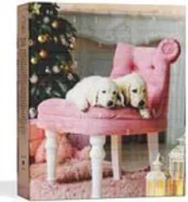 Two puppies sit on a pink stool in front of a Christmas tree.