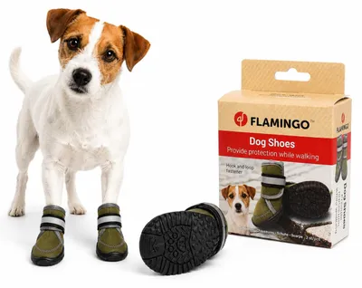 Produktbild von hundeschuhe - Kajan - 2 stück - grün - XS - 6,4x5,2x9,5 cm - neopren - Harte Soh