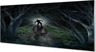 Immagine prodotto di Quadri in vetro, dimensioni 125x50 cm, arte da parete, foresta scura, motivo alberi