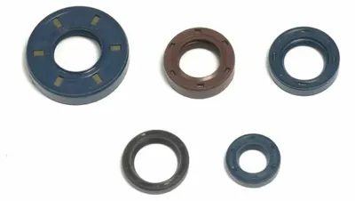 Obrázek produktu pro Sada těsnění motoru ATHENA P400220400262