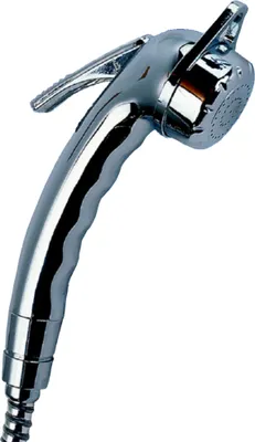 Produktbild von Handdusche Charisma