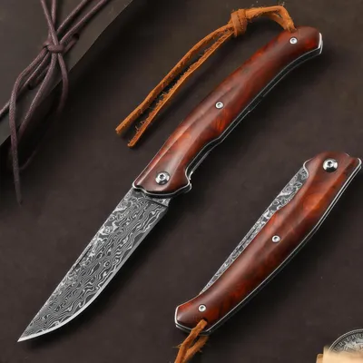 Immagine prodotto di Coltello a due lame in acciaio Damasco VG10, lama di 8,5 cm, manico in legno, forgiato a mano, stile vintage