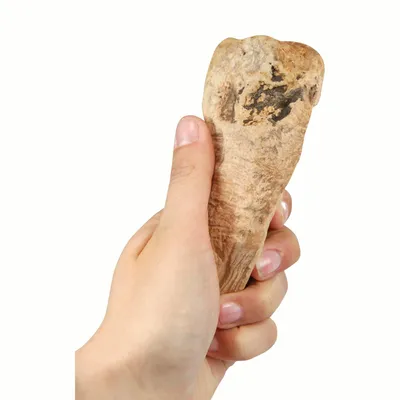 Produktbild von Kauwurzeln - das Dauer-Kauspielzeug XS (60-125 g)