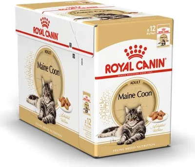 Image de ROYAL CANIN Maine Coon Adult nourriture pour chats humide 12 x 85 g