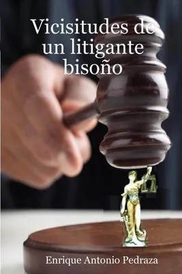 Produktbild von Vicisitudes de Un Litigante Bisoo